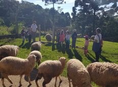 paripassu-agriculture